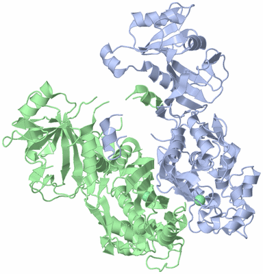 Image Asym./Biol. Unit