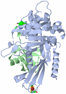 Image Biol. Unit 1 - sites