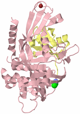 Image Biological Unit 2