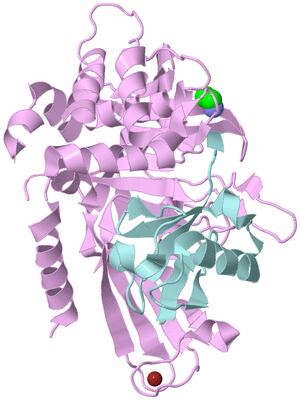 Image Biological Unit 3