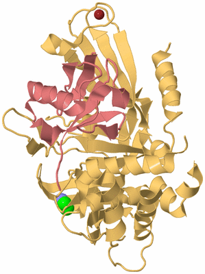 Image Biological Unit 4