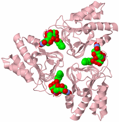 Image Biological Unit 3