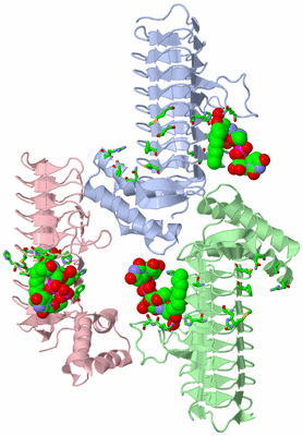 Image Asym. Unit - sites