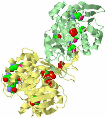 Image Biological Unit 2