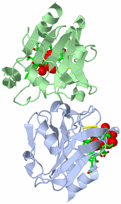 Image Asym./Biol. Unit - sites