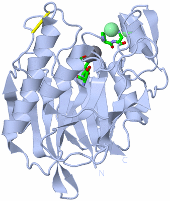 Image Biol. Unit 1 - sites