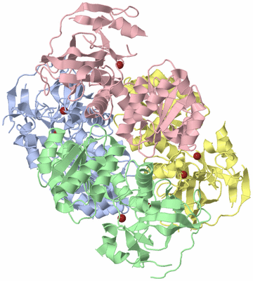 Image Biological Unit 1