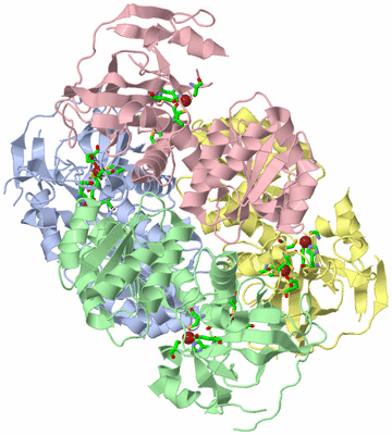 Image Biol. Unit 1 - sites