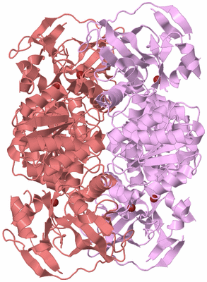 Image Biological Unit 2