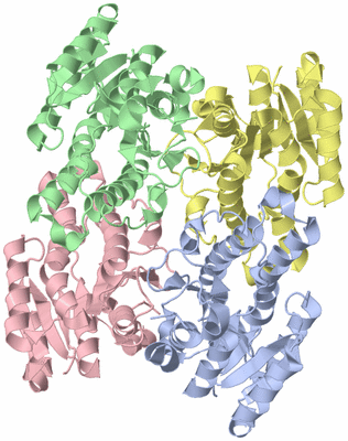 Image Asym./Biol. Unit