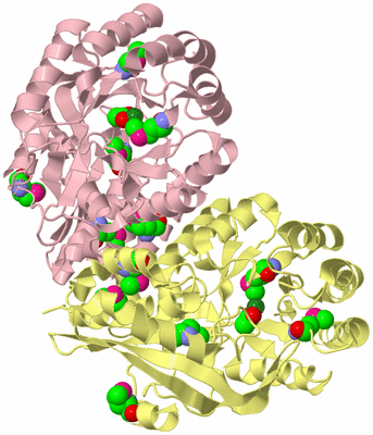 Image Biological Unit 2