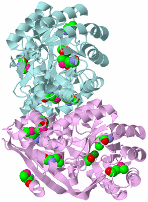 Image Biological Unit 3