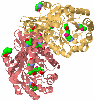 Image Biological Unit 4