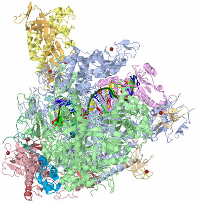 Image Asym./Biol. Unit