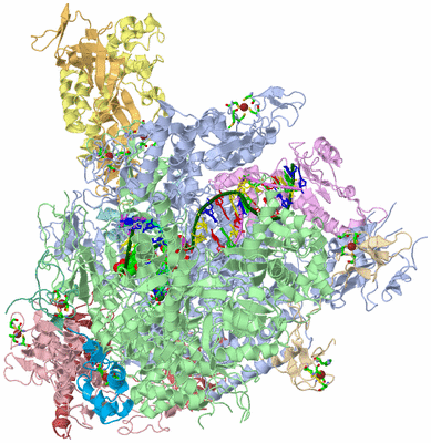 Image Asym./Biol. Unit - sites