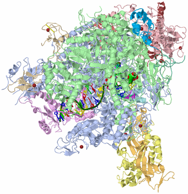 Image Asym./Biol. Unit