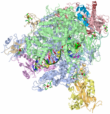 Image Asym./Biol. Unit - sites