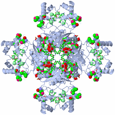 Image Biol. Unit 1 - sites