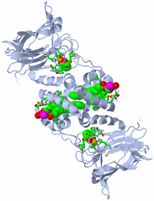 Image Biol. Unit 1 - sites