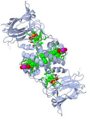 Image Biol. Unit 1 - sites