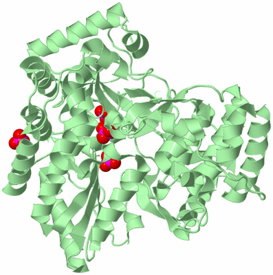 Image Biological Unit 2