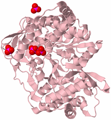 Image Biological Unit 3