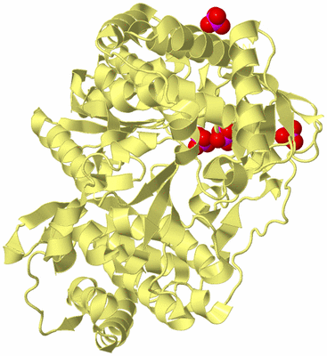 Image Biological Unit 4