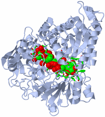 Image Biol. Unit 1 - sites