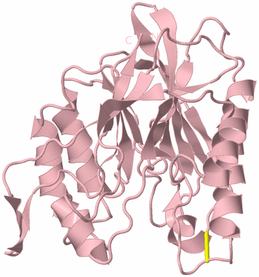 Image Biological Unit 3