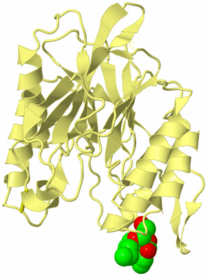 Image Biological Unit 4