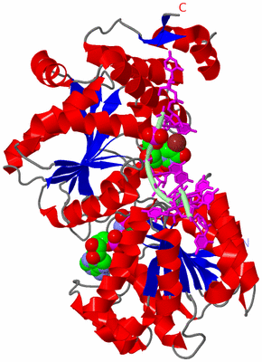 Image Asym./Biol. Unit