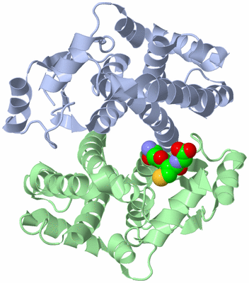 Image Biological Unit 1