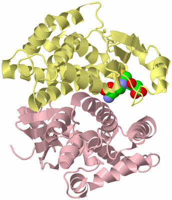 Image Biological Unit 2