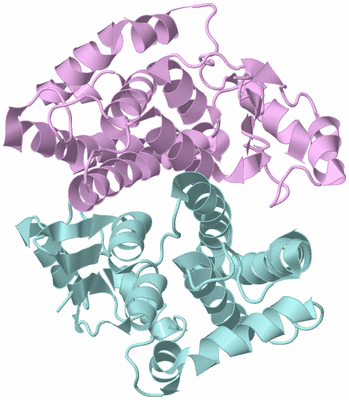 Image Biological Unit 3