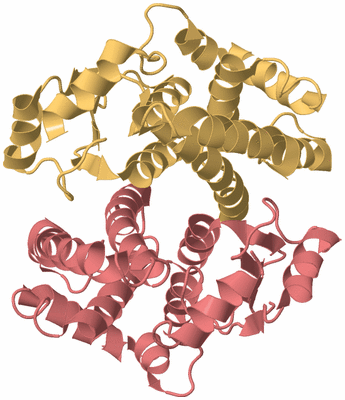 Image Biological Unit 4