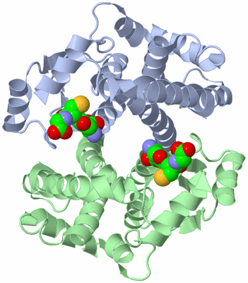 Image Biological Unit 1