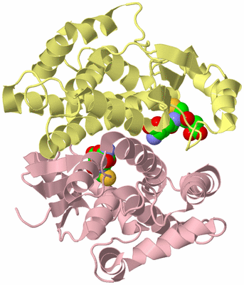 Image Biological Unit 2