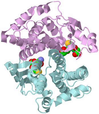 Image Biological Unit 3