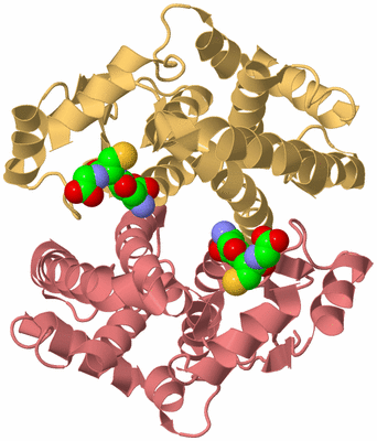 Image Biological Unit 4