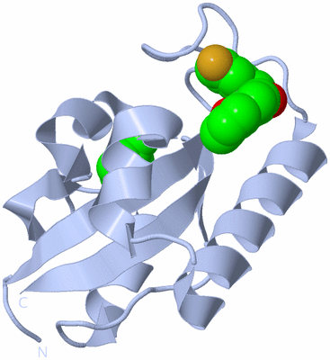 Image Biological Unit 1