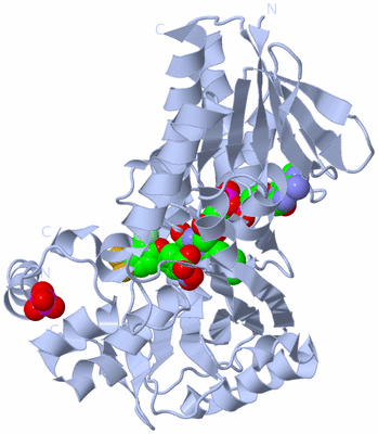 Image Biological Unit 1