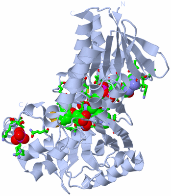 Image Biol. Unit 1 - sites