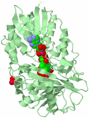 Image Biological Unit 2