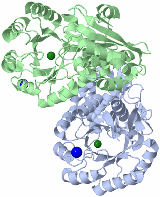 Image Biological Unit 1