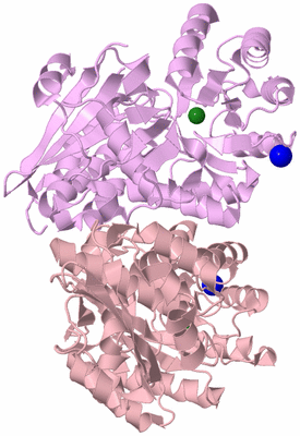 Image Biological Unit 2