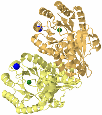 Image Biological Unit 3