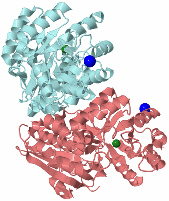 Image Biological Unit 4