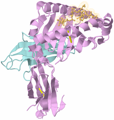 Image Biological Unit 2