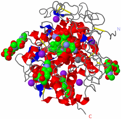 Image Asym./Biol. Unit