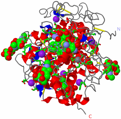 Image Asym./Biol. Unit - sites